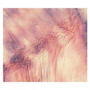 andreas tilliander - Lava (2026)