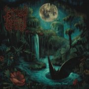Sallow Moth - Hydrophilous Brood (2026)