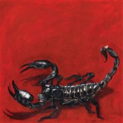 Field of Fear - Scorpion (2026) [Hi-Res]