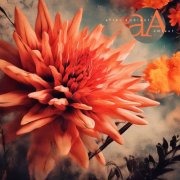 Umlaut - After Ambient (2026)