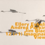 Ellery Eskelin with Andrea Parkins & Jim Black - 12 (+1) Imaginary Views (2002)